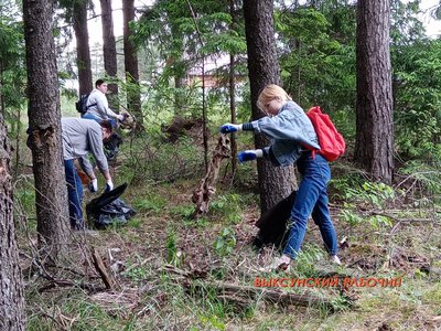 5 июня экоактивисты убирались в лесу (Выкса, 2021)